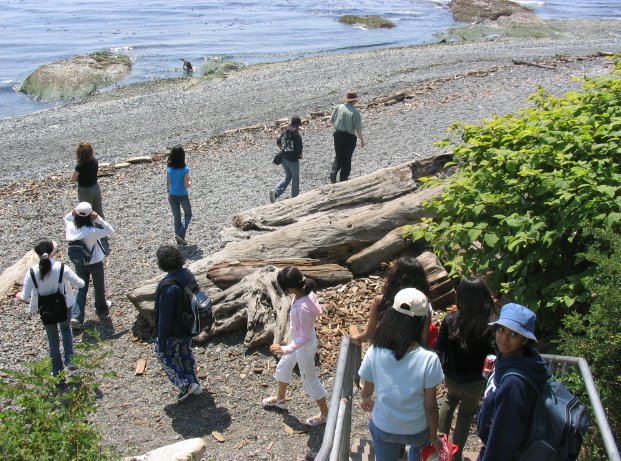 Beach 05.jpg